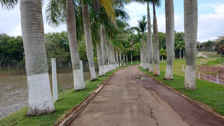 Imagem Fazenda à Venda, 64 m² em Rural - Itapetininga