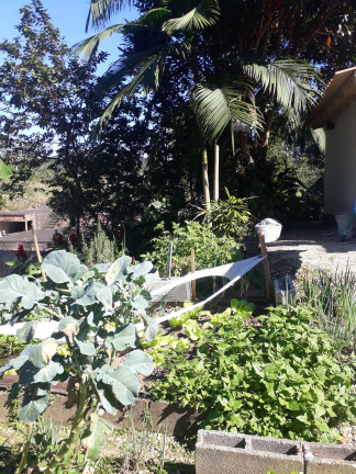 Imagem Imóvel com 3 Quartos à Venda,  em Centro - São João Batista