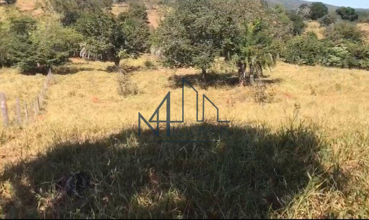 Imagem Fazenda à Venda, em Goiás Imagem Fazenda à Venda, em Goiás