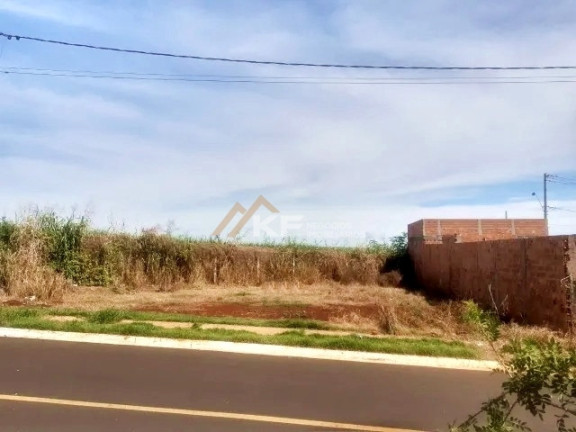 Imagem Imóvel à Venda, 312 m² em Jardim Cristo Redentor - Ribeirão Preto Imagem Imóvel à Venda, 312 m² em Jardim Cristo Redentor - Ribeirão Preto