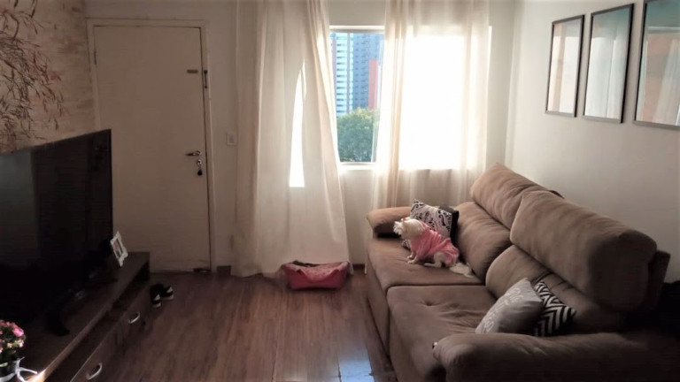 Apartamento com 2 Quartos à Venda, 55 m² em Real Parque - São Paulo