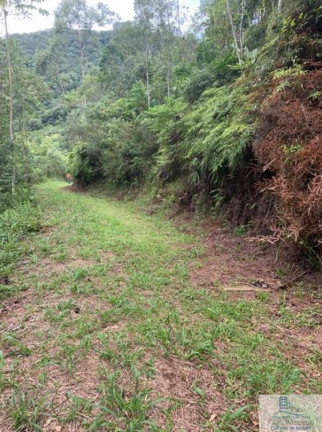 Imagem Chácara à Venda, 126.000 m² em Centro (rio Rosinha) - Rio Dos Cedros