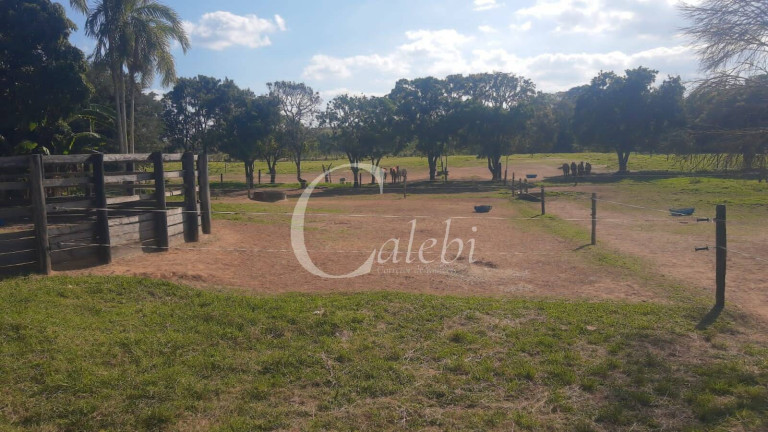 Imagem Chácara com 5 Quartos à Venda, 3 m² em Varginha - Santo Antônio De Posse Imagem Chácara com 5 Quartos à Venda, 3 m² em Varginha - Santo Antônio De Posse