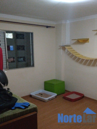 Imagem Apartamento com 2 Quartos à Venda, 52 m² em Jardim Andaraí - São Paulo Imagem Apartamento com 2 Quartos à Venda, 52 m² em Jardim Andaraí - São Paulo
