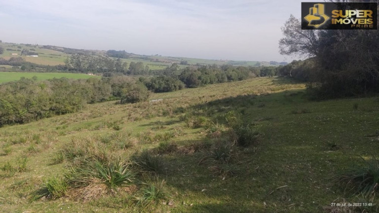 Imagem Imóvel com 2 Quartos à Venda, 240.000 m² em Centro - Morro Redondo