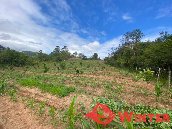 Imagem Chácara à Venda, 63.000 m² em São Roque - Feliz Imagem Chácara à Venda, 63.000 m² em São Roque - Feliz