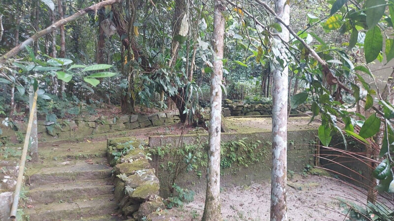 Imagem Chácara com 5 Quartos à Venda, 5.000 m² em Horto Florestal - Ubatuba Imagem Chácara com 5 Quartos à Venda, 5.000 m² em Horto Florestal - Ubatuba