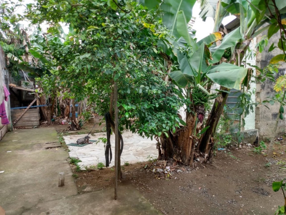 Imagem Casa com 2 Quartos à Venda, 65 m² em Conjunto Residencial Araretama - Pindamonhangaba Imagem Casa com 2 Quartos à Venda, 65 m² em Conjunto Residencial Araretama - Pindamonhangaba