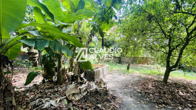 Imagem Chácara com 2 Quartos à Venda, 2 m² em Chaparral - Feira De Santana Imagem Chácara com 2 Quartos à Venda, 2 m² em Chaparral - Feira De Santana