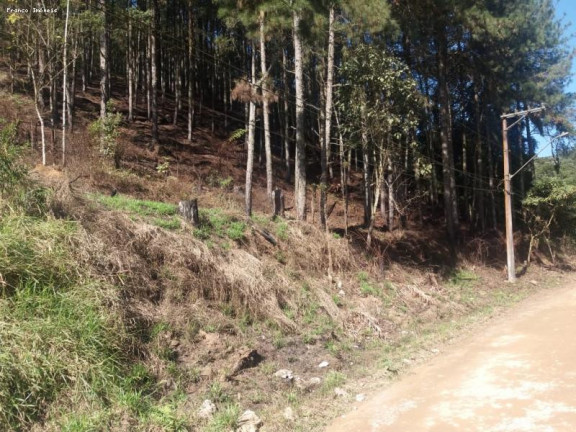 Imagem Terreno à Venda, 6.765 m² em Ouro Fino Paulista - Ribeirão Pires