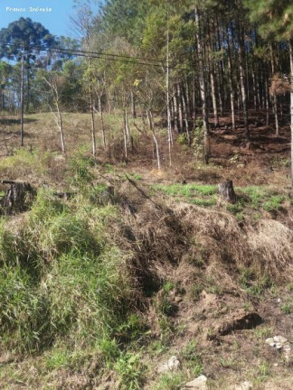Imagem Terreno à Venda, 6.765 m² em Ouro Fino Paulista - Ribeirão Pires