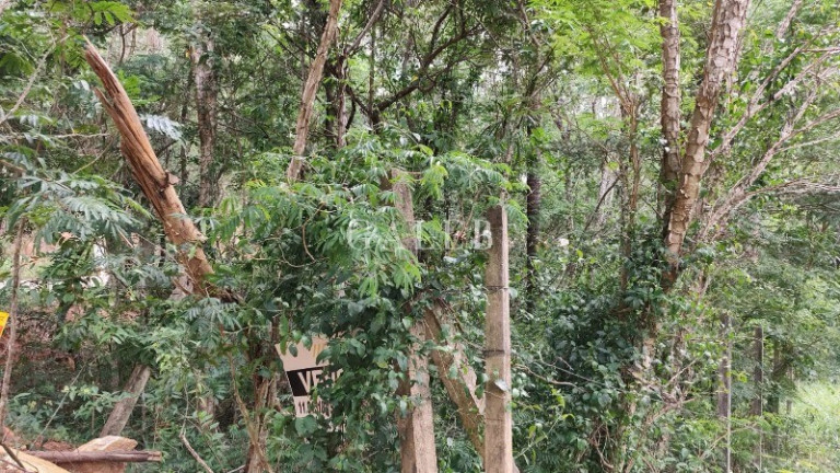Imagem Terreno à Venda, 652 m² em Bosque Dos Eucaliptos - Atibaia Imagem Terreno à Venda, 652 m² em Bosque Dos Eucaliptos - Atibaia