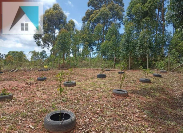 Imagem Chácara à Venda, 1.000 m² em Bairro Santo Expedito - Munhoz