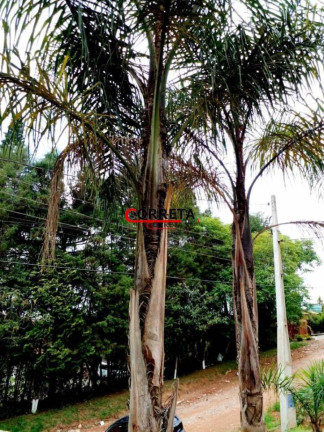 Imagem Chácara com 3 Quartos à Venda, 1.000 m² em Votorantim - Ibiúna Imagem Chácara com 3 Quartos à Venda, 1.000 m² em Votorantim - Ibiúna