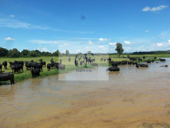 Imagem Fazenda à Venda, 297 m² em Rural - Santana Do Itararé