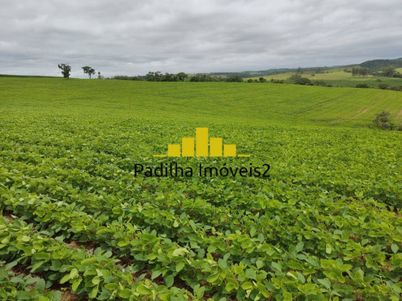 Imagem Chácara à Venda, 20 m² em Pilar Do Sul Imagem Chácara à Venda, 20 m² em Pilar Do Sul