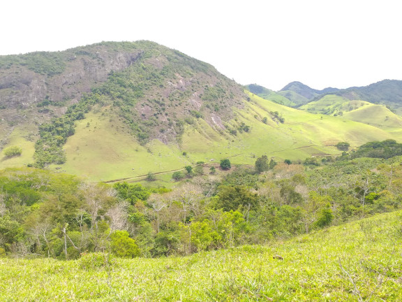 Imagem Fazenda à Venda, 9.790.000 m² em Centro - Trajano De Morais Imagem Fazenda à Venda, 9.790.000 m² em Centro - Trajano De Morais