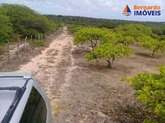 Imagem Chácara com 4 Quartos à Venda, 450 m² em Coqueiro Do Lagamar - Pindoretama Imagem Chácara com 4 Quartos à Venda, 450 m² em Coqueiro Do Lagamar - Pindoretama