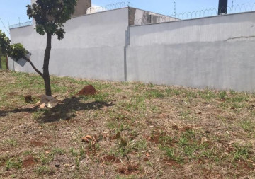 Anuncio Imóvel